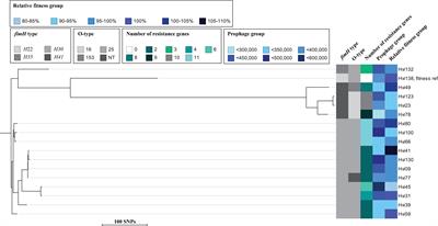 In vitro Relative Fitness, in vivo Intestinal Colonization and Genomic Differences of Escherichia coli of ST131 Carrying blaCTX–M–15